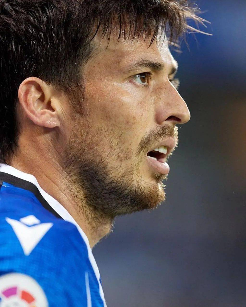 包含汉堡SV青训球员崭露头角,表现耀眼的词条 包含汉堡SV青训球员崭露头角,表现耀眼的词条