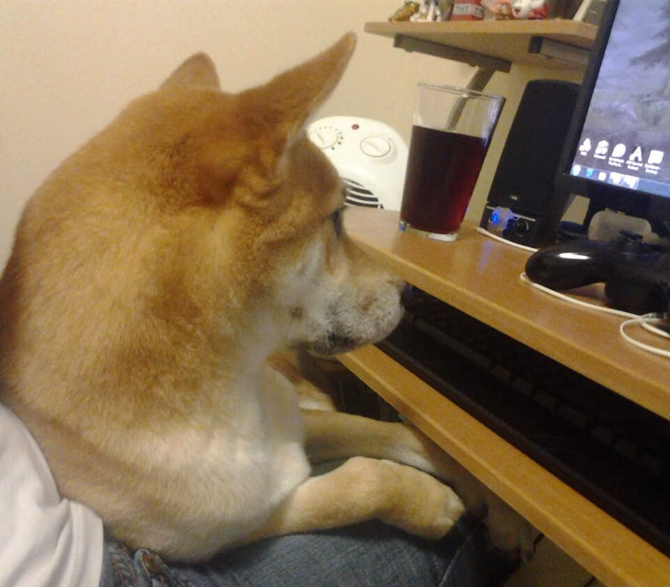 欧冠半决赛焦点战,凯尔特人闪电战速胜广东队,晋级决赛在望