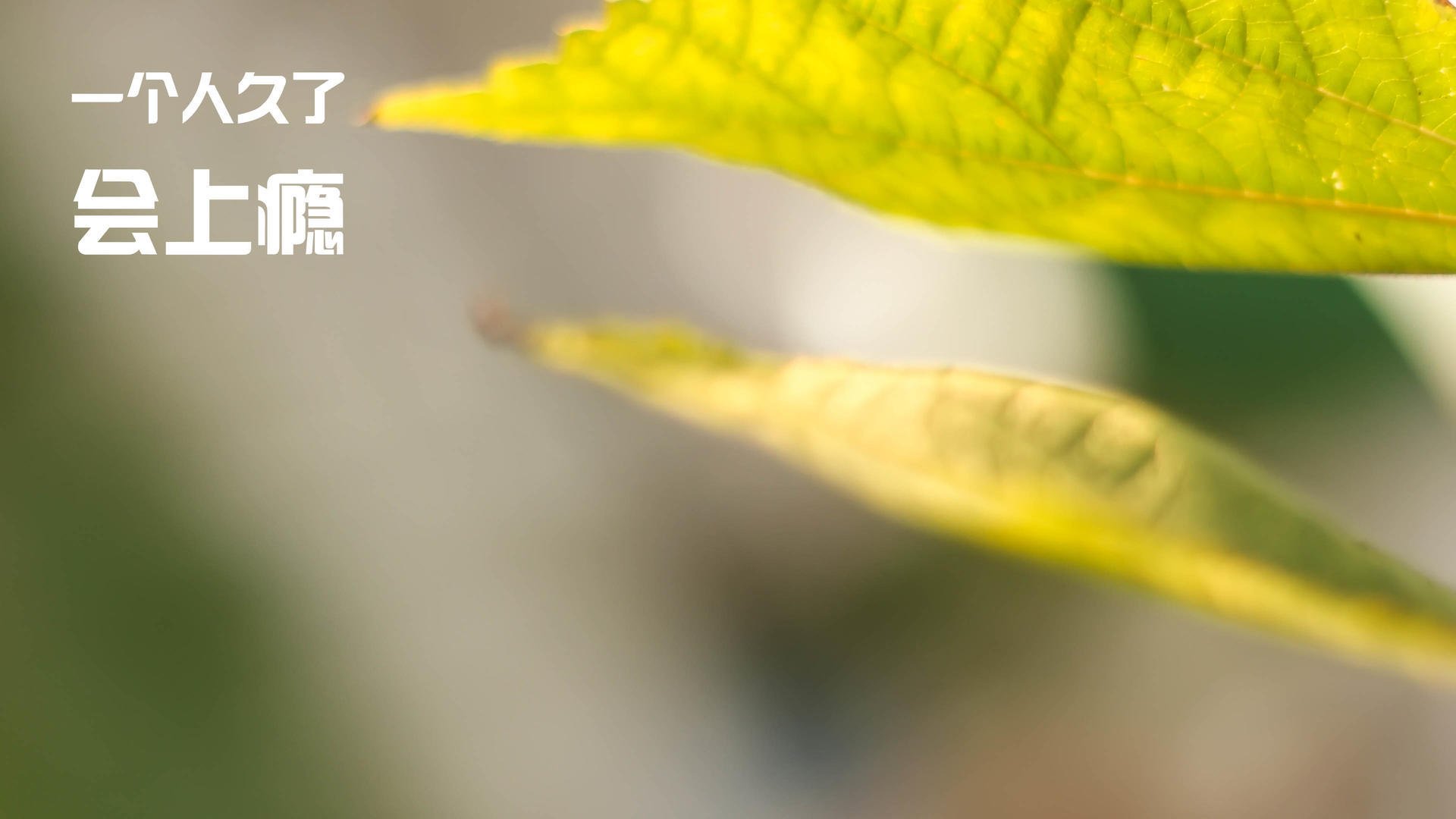 冷血刺客与关键先生,奥运周期关键战之夜的欧文答卷