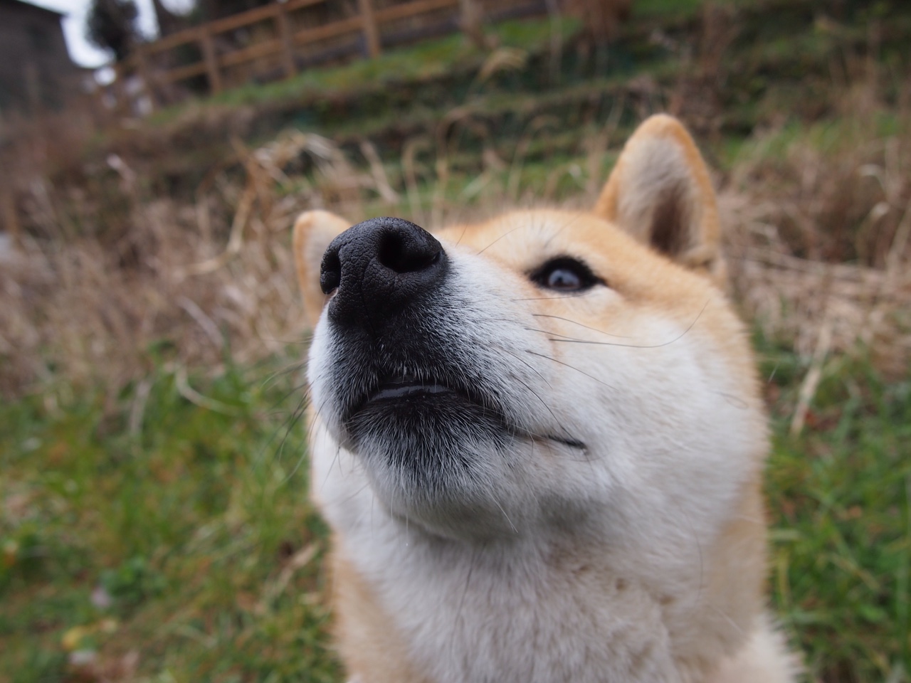热火疾风骤雨速胜浙江队,班凯罗关键时刻定乾坤