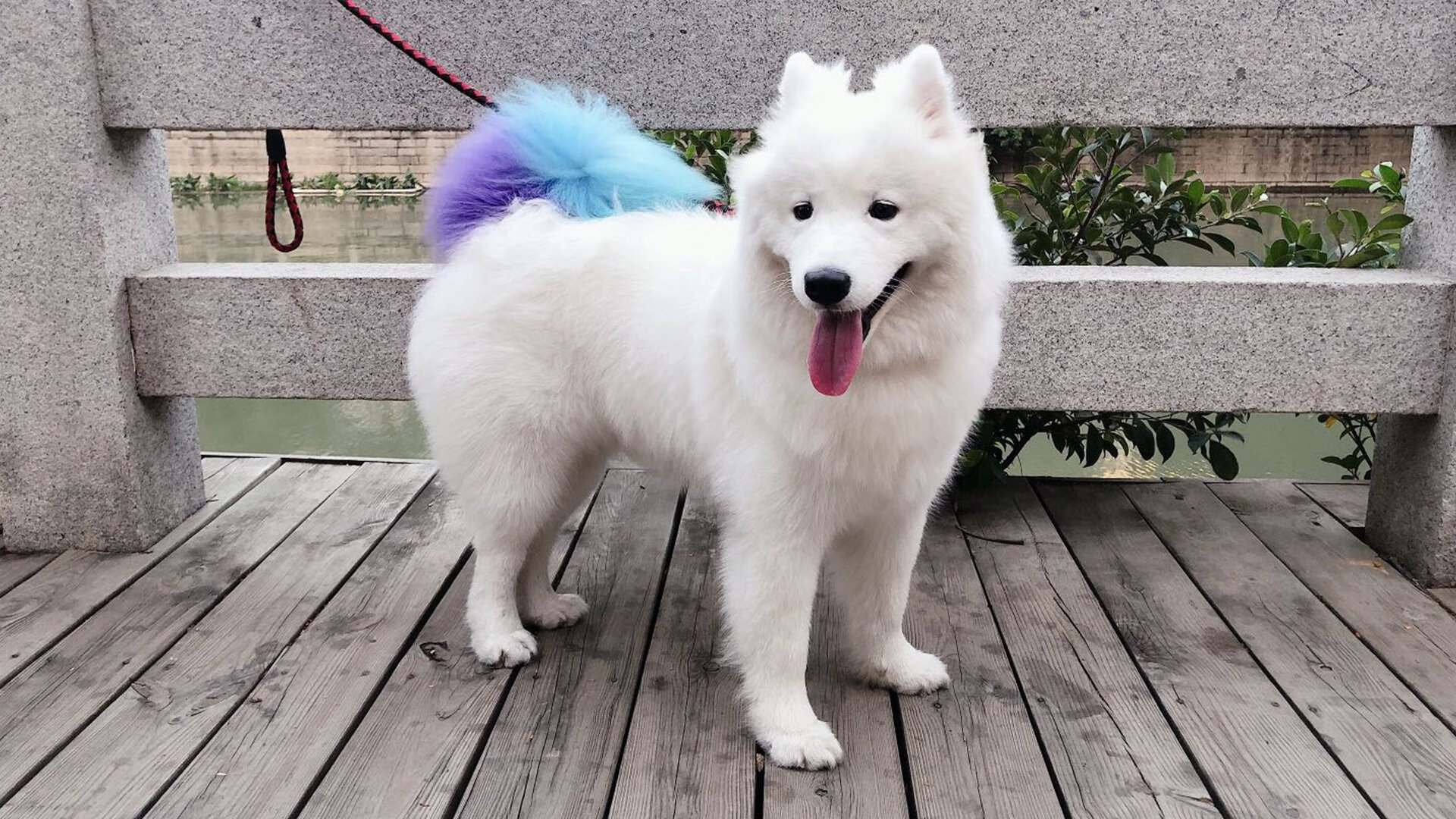 草根逆袭改写剧本,莫兰特手术刀般切割定乾坤