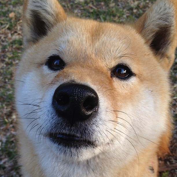 夜空为王,姆巴佩欧冠决赛封神夜