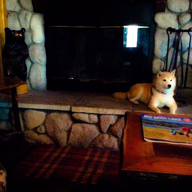 恩比德关键先生横空出世,热火强行终结快船连胜势头