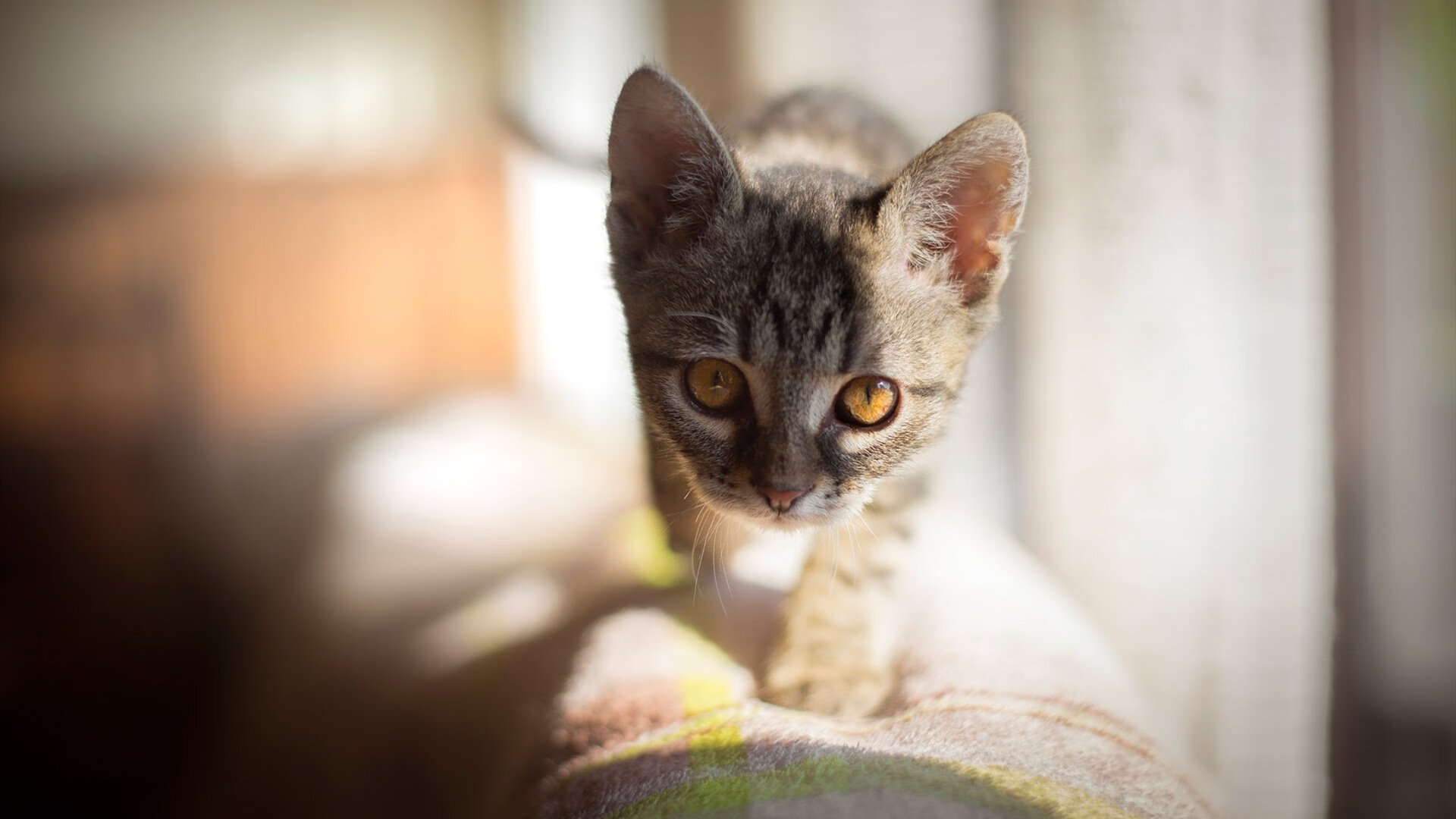 活塞逆转吉林队,杜兰特关键时刻定乾坤